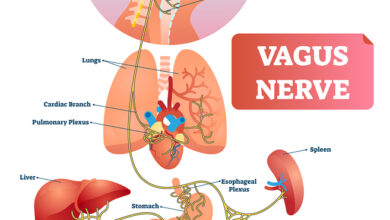 The Relationship Between HRV and Chronic Pain