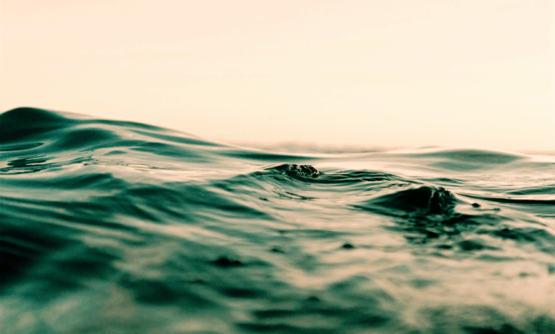 Collected Notes on Self-Transparency, Creativity, and Unpredictability Collected Notes on Self-Transparency, Creativity, and Unpredictability