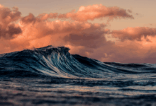 Collected Notes on Craving/Aversion and Being a Divided Self