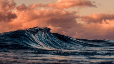 Collected Notes on Craving/Aversion and Being a Divided Self