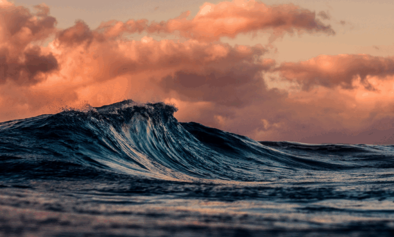 Collected Notes on Craving/Aversion and Being a Divided Self