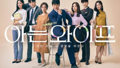 Hablando de Kdramas: Familiar wife (2018)