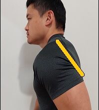 Exercises To Increase Shoulder Extension