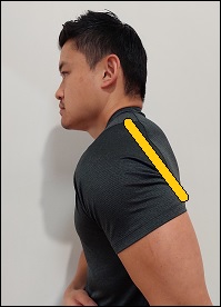 Exercises To Increase Shoulder Extension