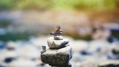 Sthira Sukha – Balancing Ease with Effort in your IVF Journey — SOPHIE SANDERS