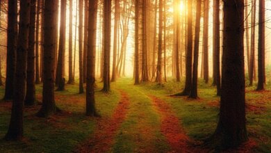 Do You Believe in Spirit? — J. Brown Yoga