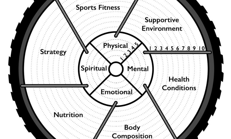 Flow, the Zone, and Meditation in Sports