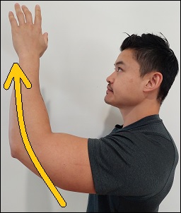 Can’t Lift Arm Above Shoulder Without Pain (Exercises)