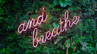 Breathe in Joy: Your Essential Holiday Stress-Busting Technique — SOPHIE SANDERS