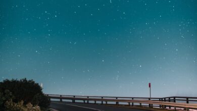 The Tension of Opposites – Bram Levinson