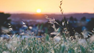 Hello 2024 (Lessons Beyond 2023) — SOPHIE SANDERS